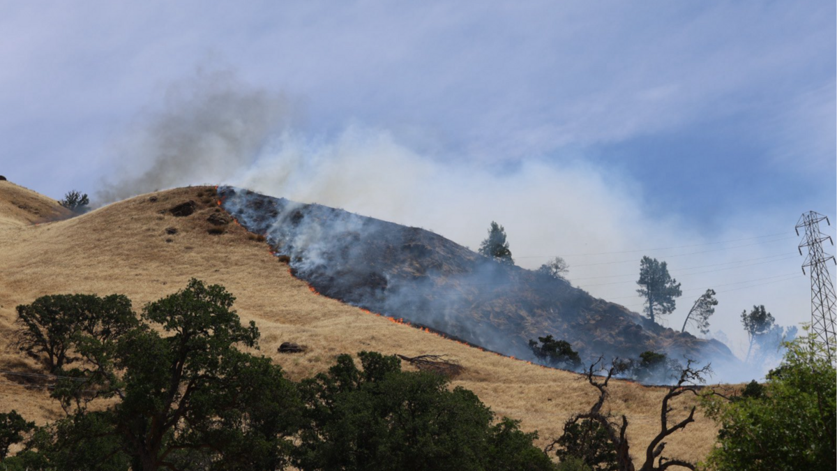 Firefighters from Cal Fire’s Sonoma-Lake-Napa unit were responding to a 300-acre vegetation fire off Highway 128 in Yolo County, Monday, June 8, 2026.